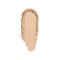 1.1 Light