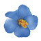 bleue