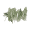 018 Olive Green