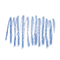 006U Blue spurce