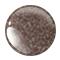 Fungi