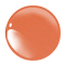 RD26