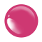 002 Wild Berry