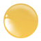 YO06